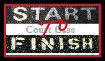 Description of Criminal Case